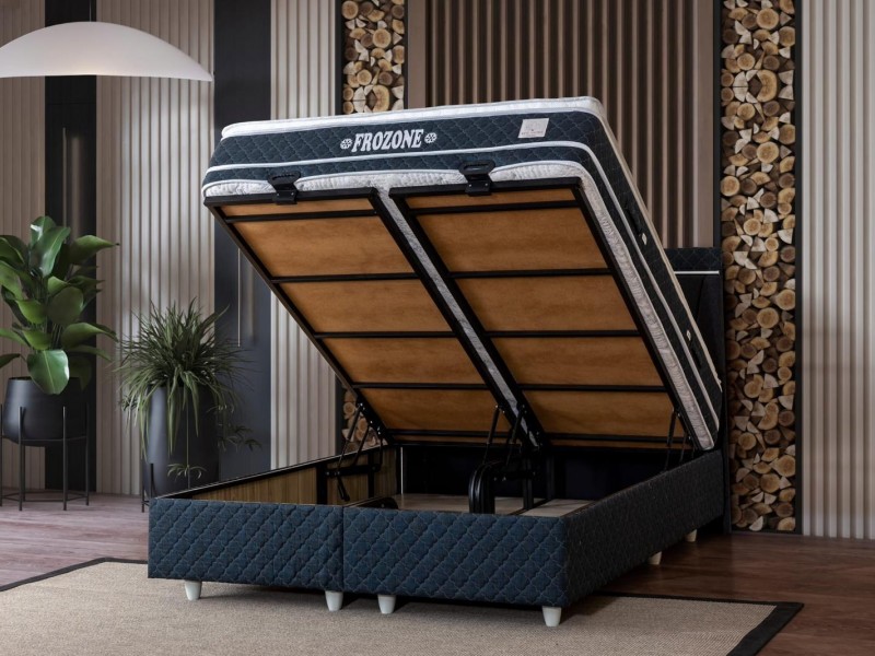 Frozen Baza Başlık 