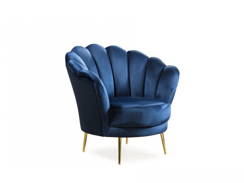 Lara Koltuk Takımı