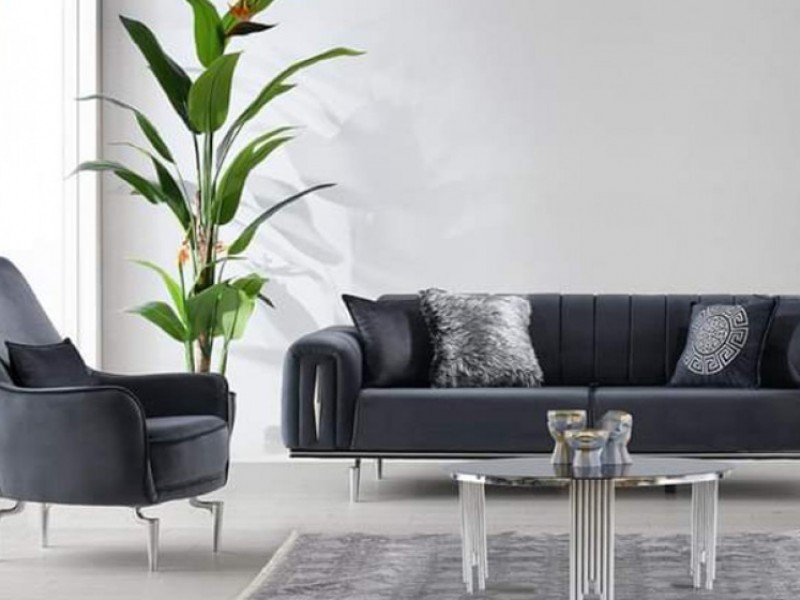 Lion Koltuk Takımı 